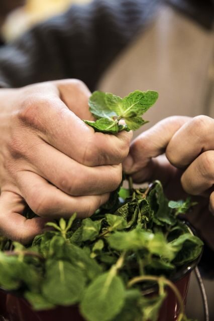 Lisbon: Food and Culture 3-Hour Walking Tour - Final thoughts: who should join this tour?