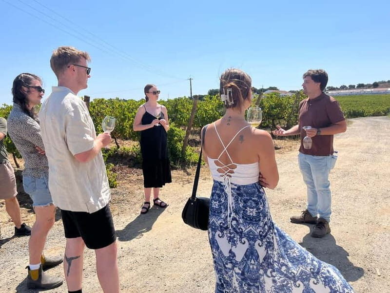 Lisbon: Full-Day Wine Tasting Tour in Setúbal ALL INCLUSIVE - Practical Details and Value