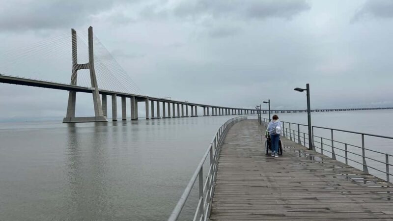 Lisbon: Half-Day Small Group Sightseeing Tour by Car - Accessibility & Suitability