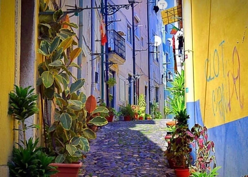 Lisbon Highlights Tuk Tuk Tour  Historic & Scenic Guide - Value for Money