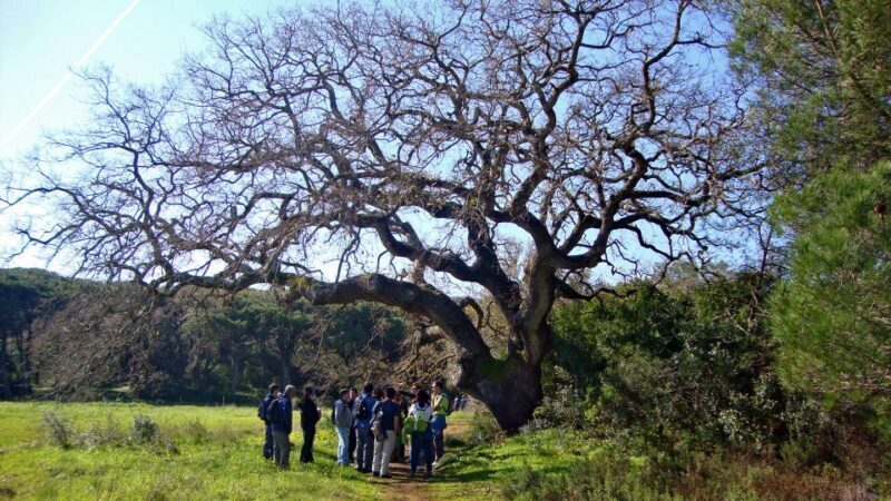 Lisbon: Hiking in Arrábida Natural Park - The Experience Through the Eyes of Past Participants