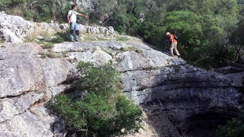 Lisbon: Hiking in Arrábida Natural Park - Is This Tour Right for You?