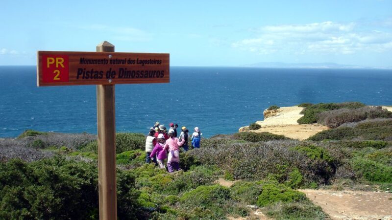 Lisbon: Hiking in Arrábida Natural Park - The Sum Up: A Scenic, Well-Guided Day Out