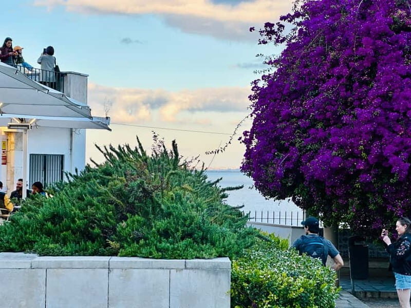 Lisbon: Historic City Tour by Tuk Tuk - What to Expect from the Tour