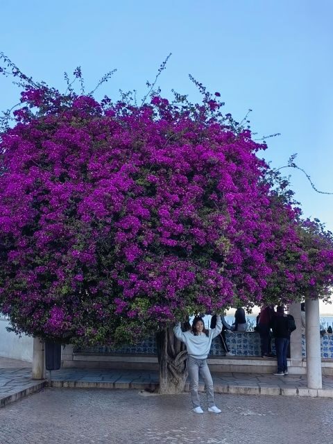 Lisbon: hop on hop off sightseeing Tuktuk tour - A Deep Dive into the Experience