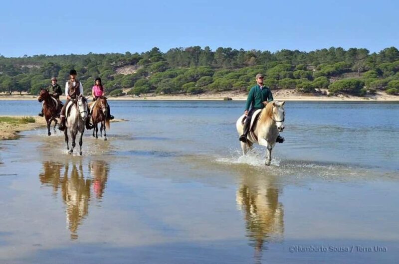 Lisbon: Horse Riding at the Beach with Lunch - Key Points