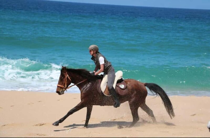 Lisbon: Horse Riding at the Beach with Lunch - An Authentic Beachside Horseback Adventure Near Lisbon