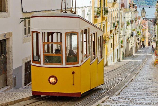 Lisbon in One Day Historic Private Tour - Who Will Love This Tour?