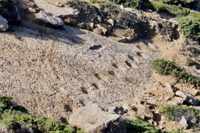 Lisbon - Jeep Tour Arrabida, Sesimbra & Dinossaur Footprints - Key Points