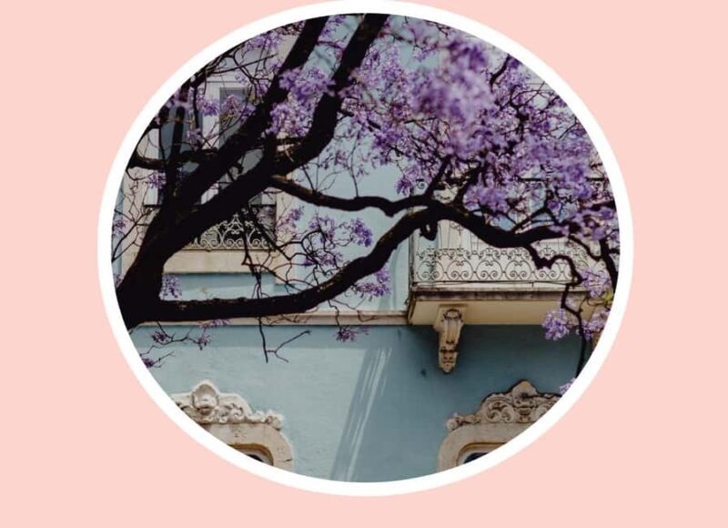 Lisbon Kaleidoscope : Electric Tuk Tuk | Professional Guide - A Deep Dive into the Lisbon Kaleidoscope Tour