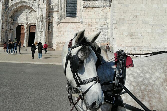 Lisbon Layover - The Reviewers’ Perspective