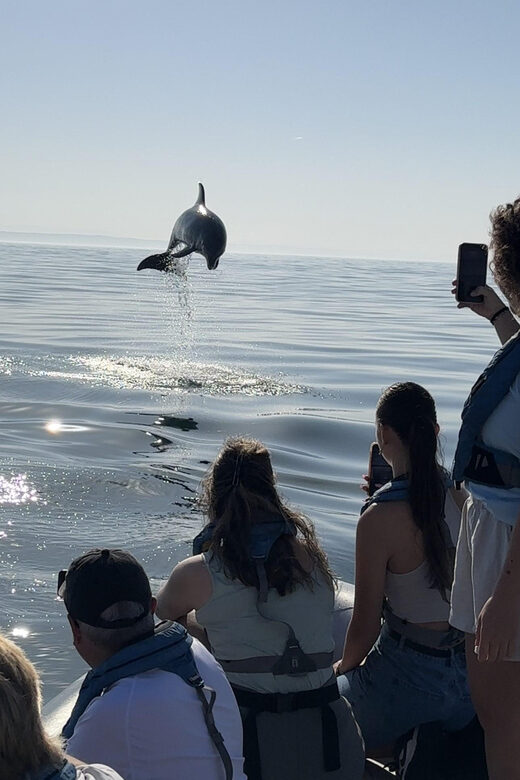 Lisbon: MAAT Entry Ticket & Dolphin Watching Boat Tour - Introduction