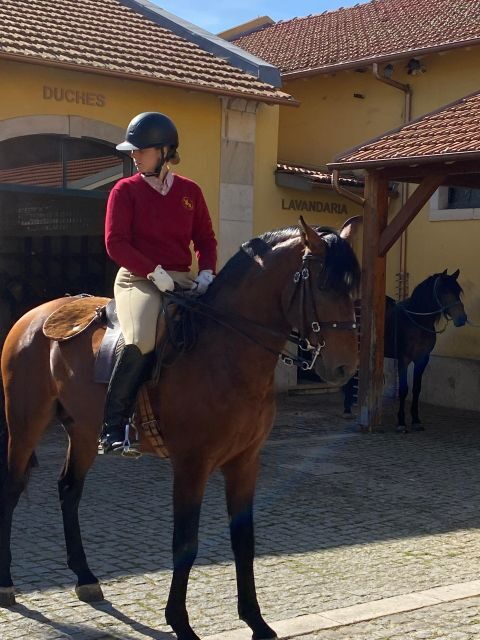 Lisbon: Morning of Equestrian Art with Lusitano Horses - Who Should Consider This Experience?