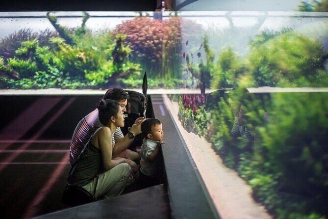 Lisbon Oceanario: Aquarium Entrance Ticket - Final Thoughts