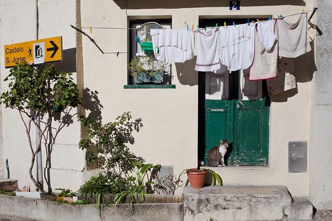 Lisbon Off The Beaten Track and Main Sights Private Walking Tour - Who Will Love This Tour?