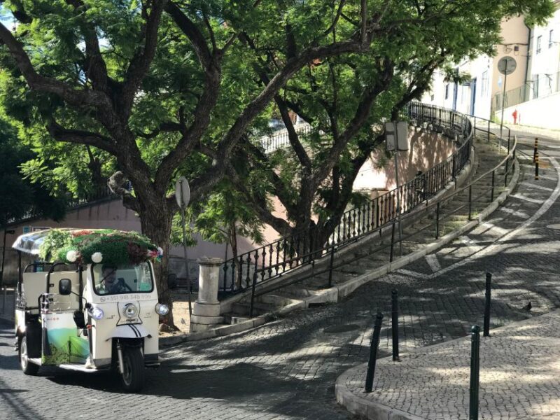Lisbon: Old City Standard Private Guided Tour by Tuk-Tuk - Frequently Asked Questions