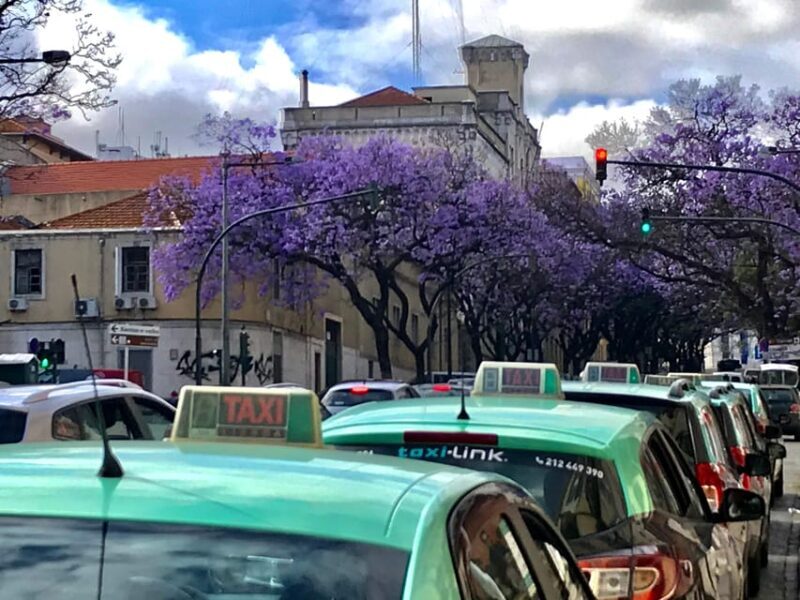 Lisbon: Old Town and Chiado Vintage Car Tour - The Sum Up