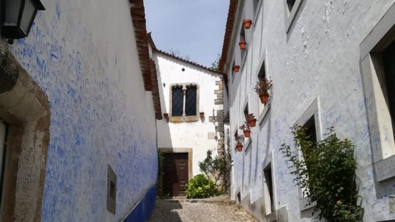Lisbon: One Way to Douro Valley through Coimbra and Obidos - Key Points