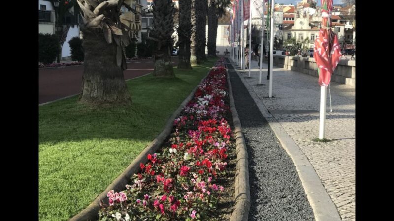 Lisbon: Pena Palace, Sintra, Cascais, and Cabo Roca Day Trip - Coastal Marvels at Cabo da Roca and Guincho Beach