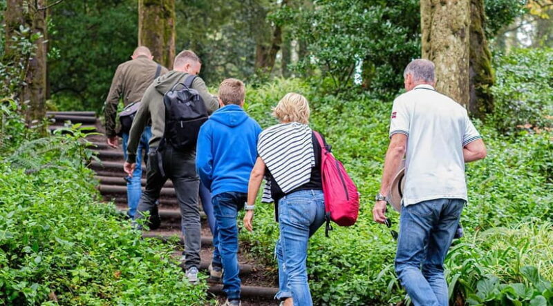 Lisbon: Pena Palace, Sintra Palaces, Roca Cape & Cascais - Return to Lisbon