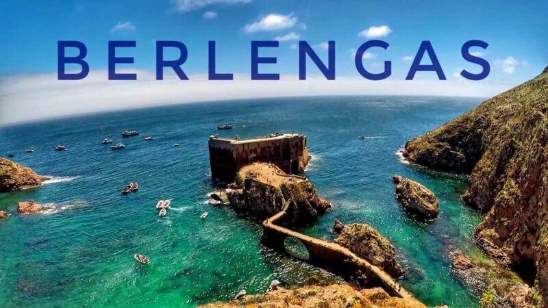 Lisbon: Peniche, Berlenga & Mafra Palace Private Day Trip - Final Thoughts