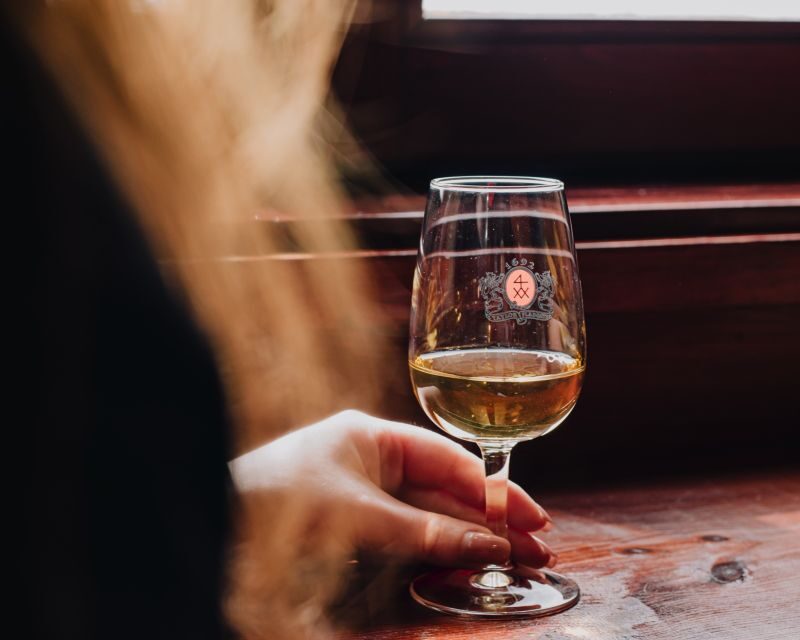 Lisbon: Port Wine Tasting at Taylors Shop and Tasting Room - Who Will Love This?