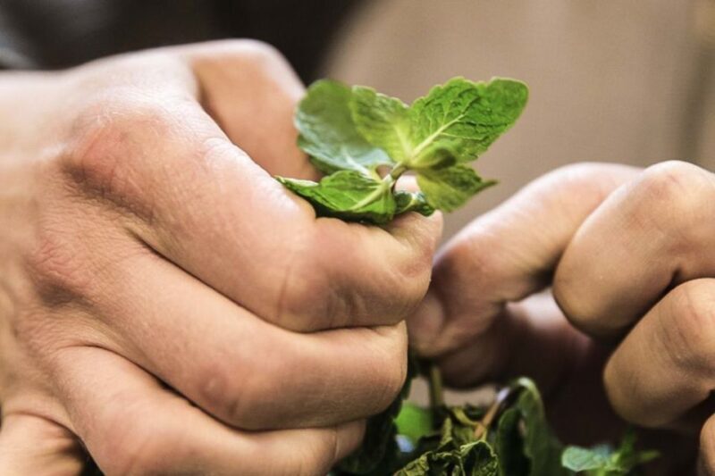 Lisbon: Portuguese Petiscos Tasting Tour by E-Bike - Practical Details and Tips