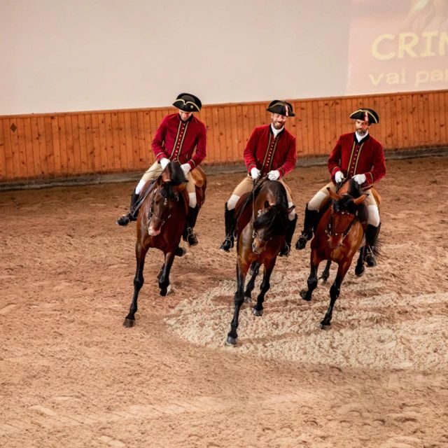 Lisbon: Portuguese Riding School Trainig with Lusitano Horse - The Sum Up: Is This Experience Worth It?