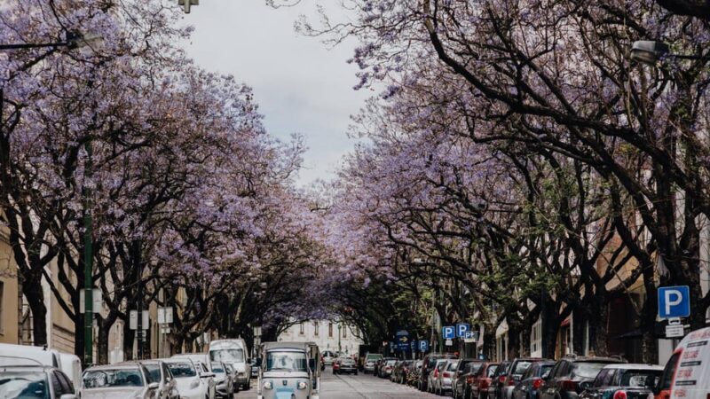 Lisbon: Private City Tour by Tuk-Tuk - Why This Tour Stands Out