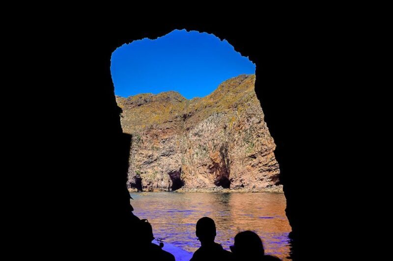 Lisbon: Private Full Day Tour to Berlengas Island - What Makes This Tour Stand Out