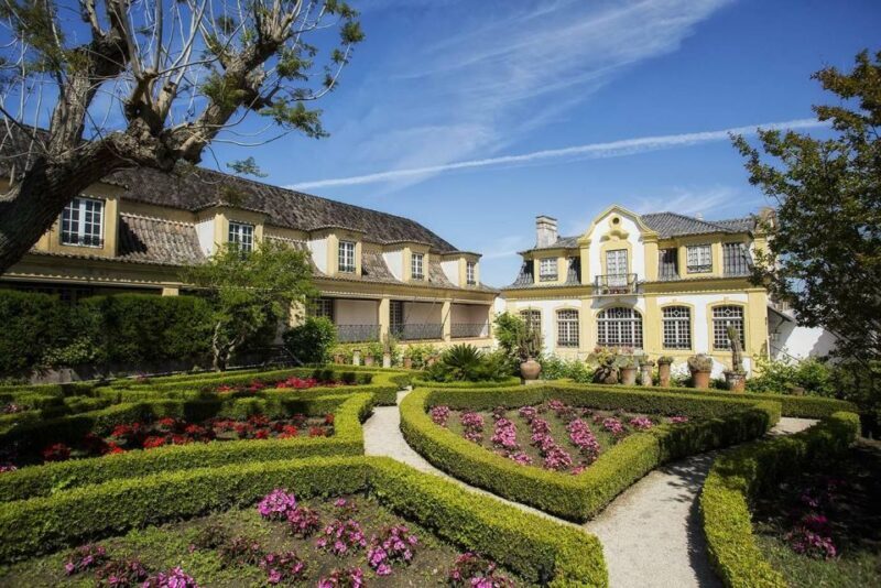 Lisbon: Private Full-Day Wine Tasting Tour in a premium car - Authenticity and Practicality