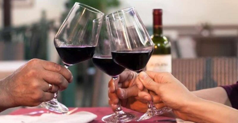 Lisbon: Private Full-Day Wine Tasting Tour in a premium car - Who This Tour Is Perfect For