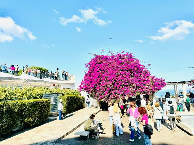 Lisbon: Private Old Town Tuk Tuk Tour - FAQ