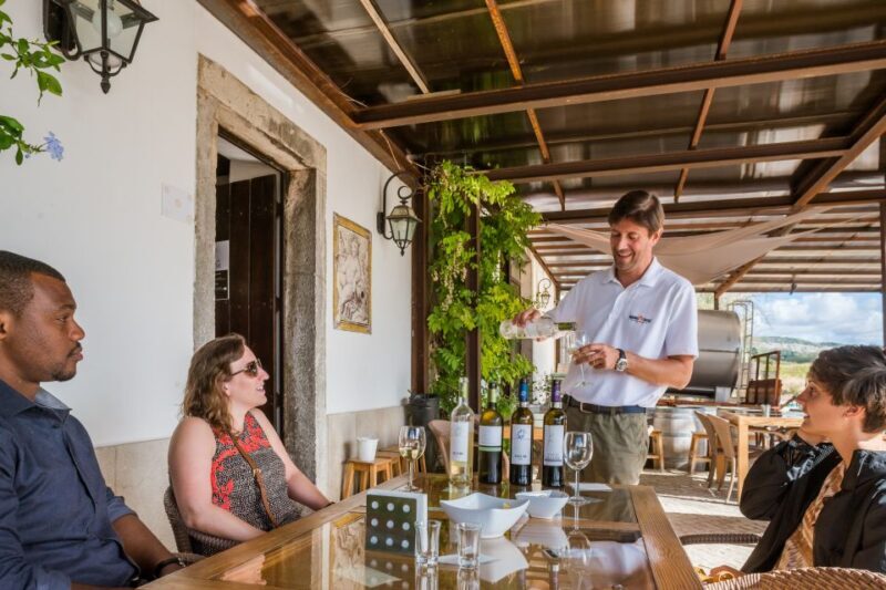 Lisbon Private Setúbal Region Wine Tasting Tour - Final Thoughts