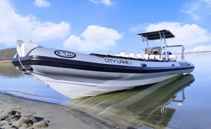 Lisbon: Private Speedboat Historical Tour - The Speedboat: Comfort and Safety at its Best