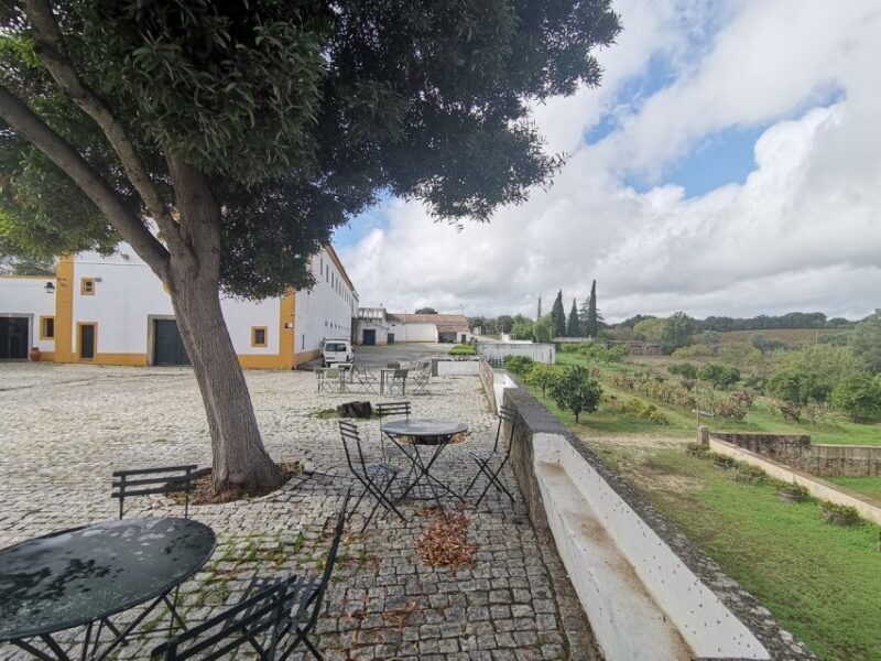 Lisbon: Private Tour Evora with Wine Tasting at the Cartuxa - Exploring Évora: A Step Back in Time