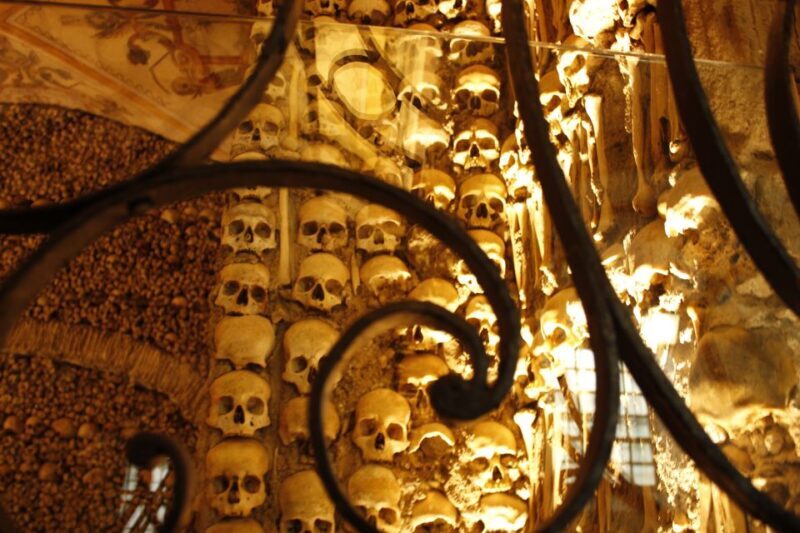 Lisbon: Private Tour Evora with Wine Tasting at the Cartuxa - Authentic Experience and Authenticity