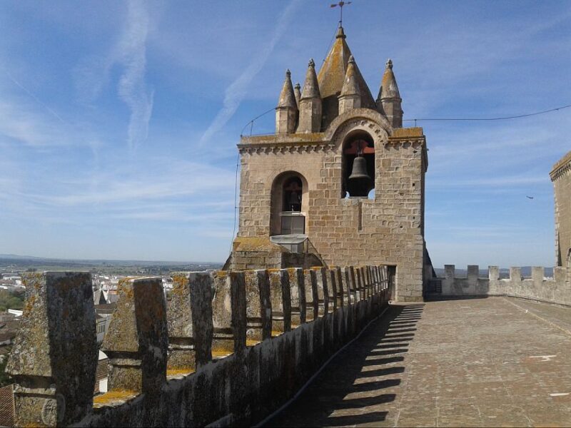 Lisbon: Private Tour to Évora and Cork Factory - What Do the Reviews Say?