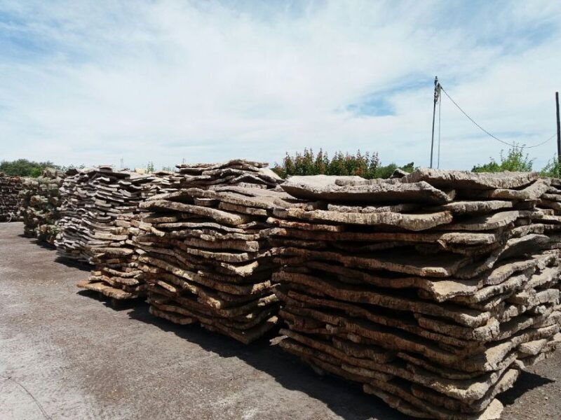 Lisbon: Private Tour to Évora and Cork Factory - FAQ