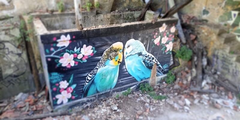 Lisbon: Private Tuk-Tuk Street Art Tour for 2,5 hours - Is This Tour Worth It?