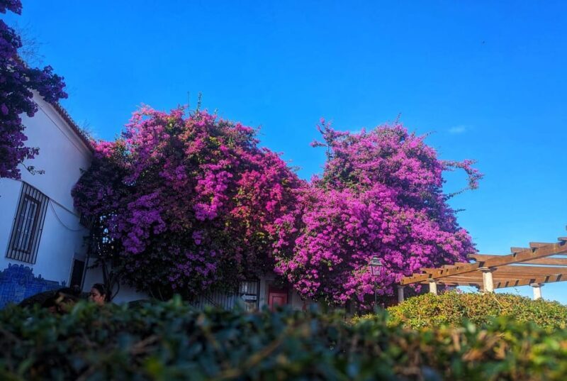 Lisbon: Private Tuk Tuk Tour with Polaroid Photos - Authenticity and Personal Touches