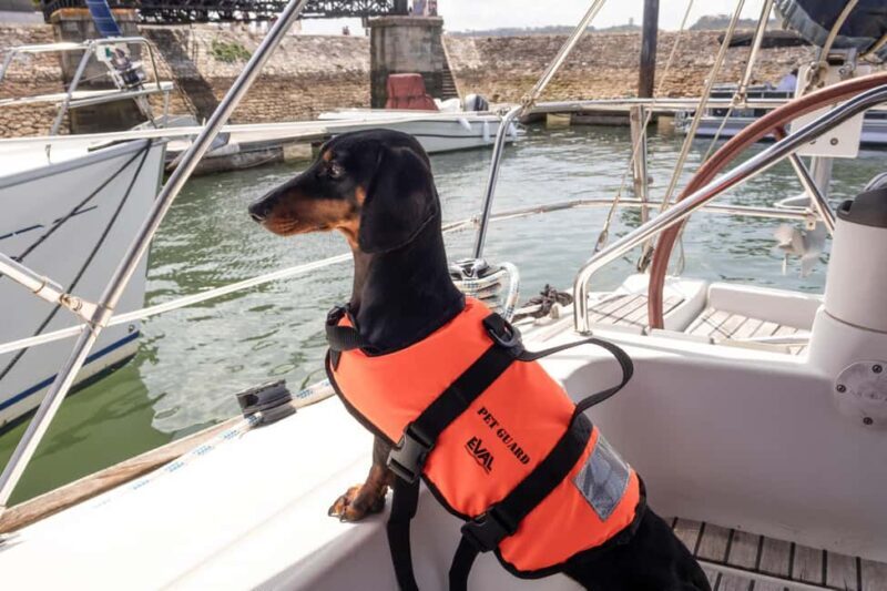 Lisbon: Sailing trip on the Tagus River - Key Points