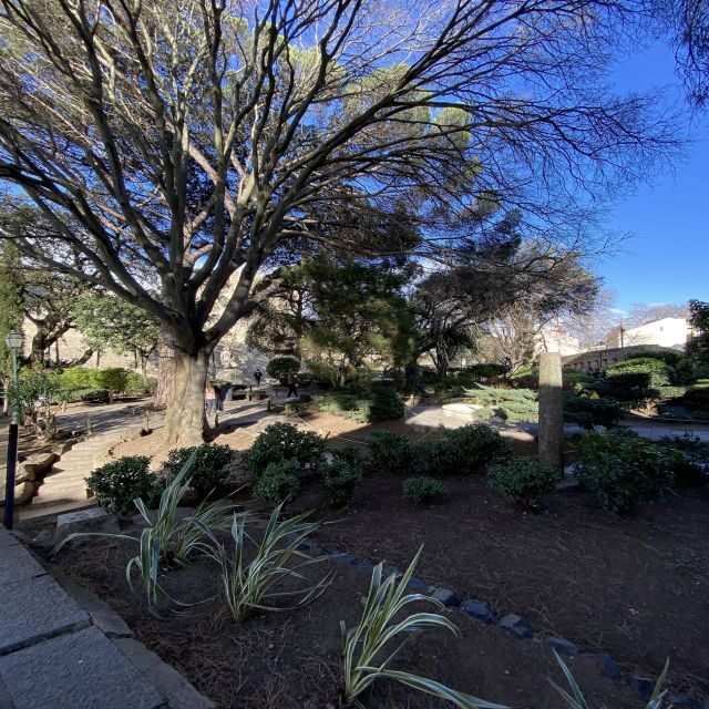 Lisbon: Saint George's Castle Entry & City Self-Guided Tours - Authentic Insights from Reviews