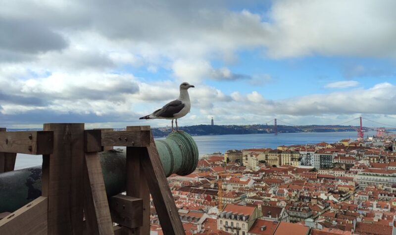 Lisbon: São Jorge Castle Skip-the-Line Ticket & Guided Tour - FAQ