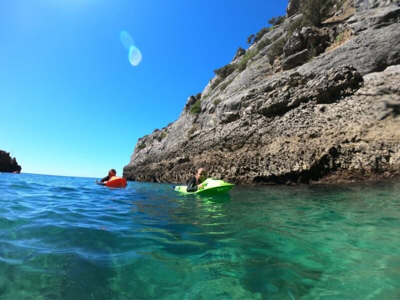 Lisbon: Sesimbra Underwater Exploration by Seaview Board - What Makes This Tour Stand Out?