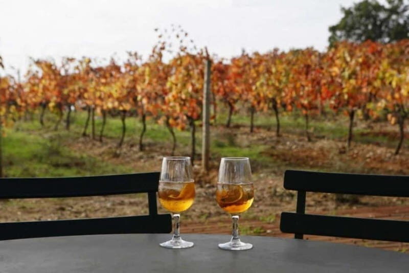 Lisbon: Setúbal, Arrábida and Azeitão Private Wine Tour - What Makes This Tour Stand Out?