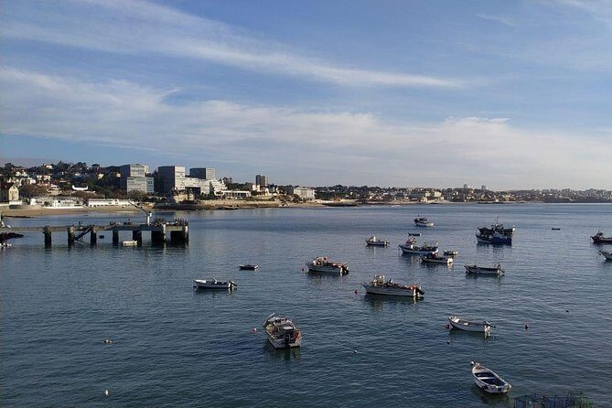 Lisbon Sintra Cascais (Best Solution Tour) Private Tour - The Practicalities: What to Expect