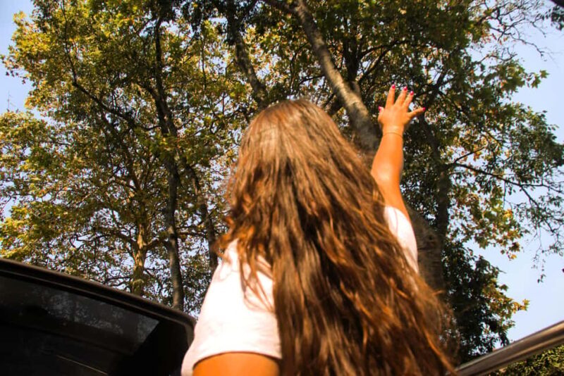 Lisbon: Sintra, Pena Palace, Regaleira, and Cabo da Roca - A Closer Look at the Tour Experience