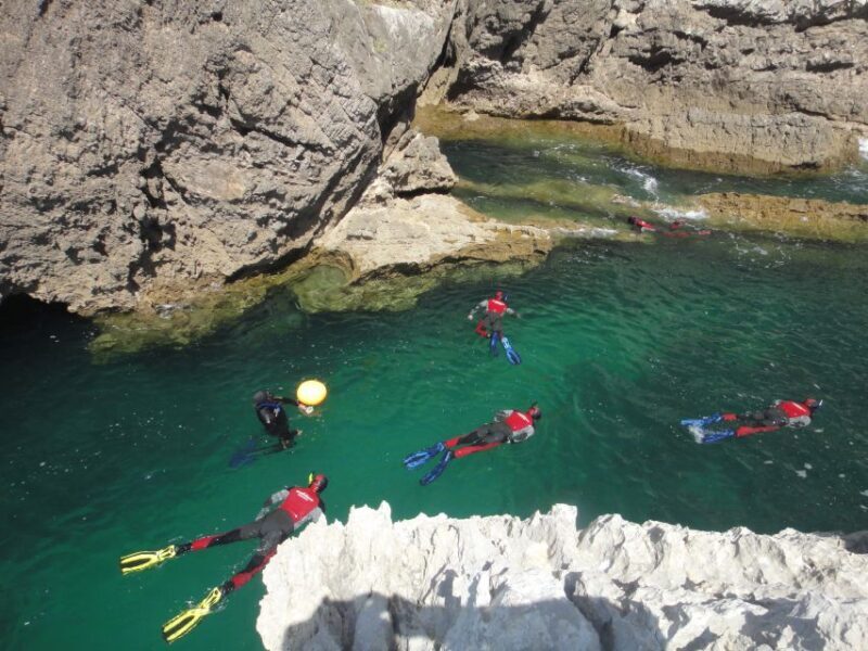 Lisbon: Snorkelling in Sesimbra/Arrábida Natural Park - Who Should Consider This Tour?