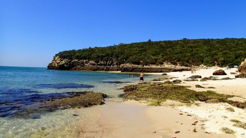 Lisbon: Southern Sights and Wine Private Tour - FAQs